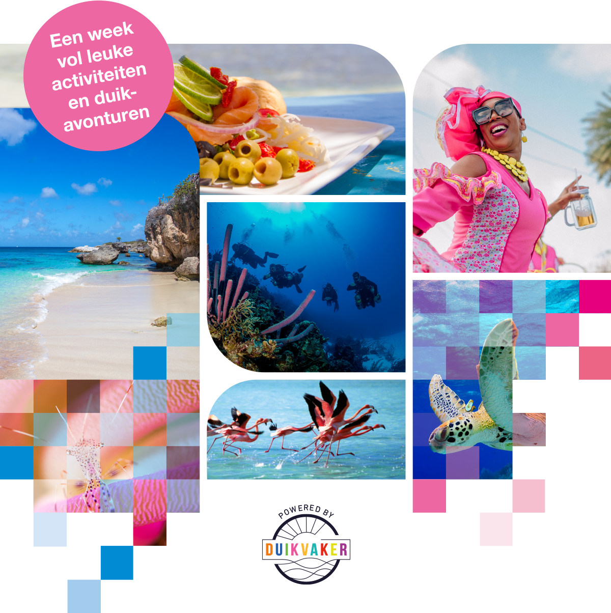 Impressie van Bonaire Dive Week - strand, duiken, flamingo's, cultuur en meer